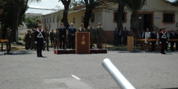 Cedida