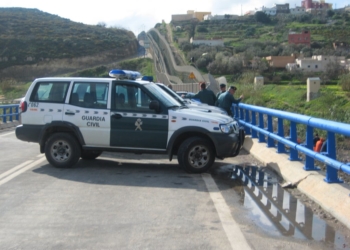 cedida