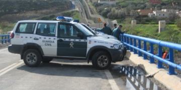 cedida
