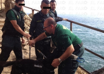 AUGC: “La operación es ineficaz”