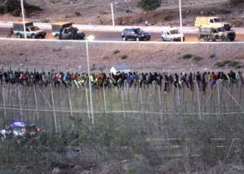 CEAR cree que el 50% de inmigrantes que llegan a Melilla es un potencial refugiado