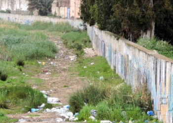 Medio Ambiente retomará las obras para llevar a cabo el Sendero Verde