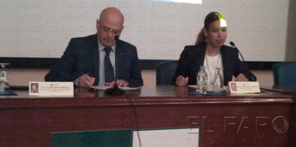 Profesionales, formándose para combatir el maltrato