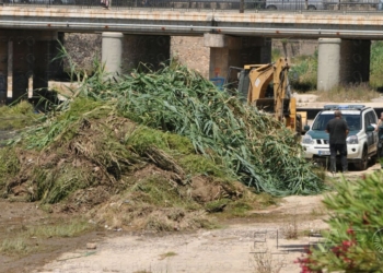 Guelaya tomará acciones legales por atentar contra los nidos de aves protegidas en el río de Oro