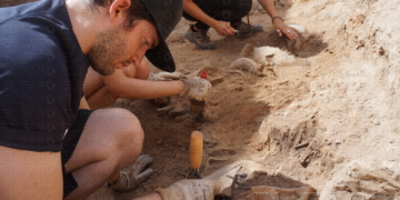 Uno de los estudiantes, durante la excavación.