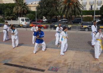Uno de los participantes representando una técnica de kata.
