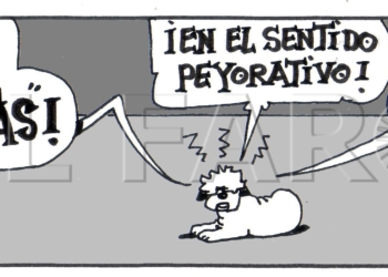 Historia de Don Pedro y Cía