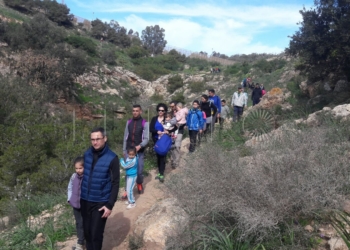 Descubriendo la fauna de Melilla