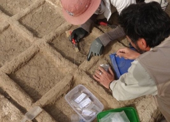 GRA134. EL CAIRO, 03/05/2017.- Fotografía facilitada por el Ministerio de Antigüedades egipcio. Un equipo arqueológico español ha descubierto en el sur de Egipto un jardín funerario de hace casi 4.000 años perteneciente al Imperio Medio (1.980-1790 a.C.). Cerca de la ciudad de Luxor, en la zona de Dra Abu al Naga, los arqueólogos desenterraron un jardín funerario localizado en un patio, que mide 3 metros y se divide en cuadrados de unos 30 centímetros. EFE/ ***SÓLO USO EDITORIAL***