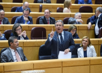 El ministro del Interior, ayer en el pleno celebrado en el Senado.