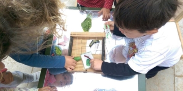 Varios niños aprenden Ciencias Naturales en una clase práctica con insectos y vegetación del parque