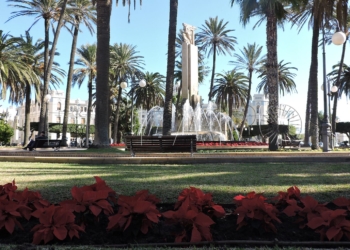 Flores que dan color a la Navidad