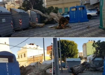 Decenas de salidas de Bomberos por el temporal