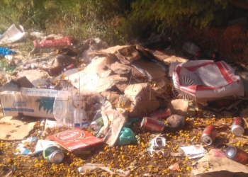 Guelaya espera que los residuos plásticos vayan a la península y no se quemen en la incineradora