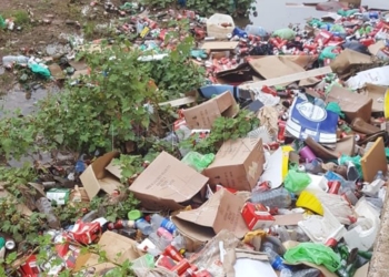 Guelaya denuncia que el arroyo Mezquita “escupe al mar toneladas de basuras”