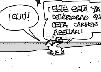 Domingo 27 de enero de 2019