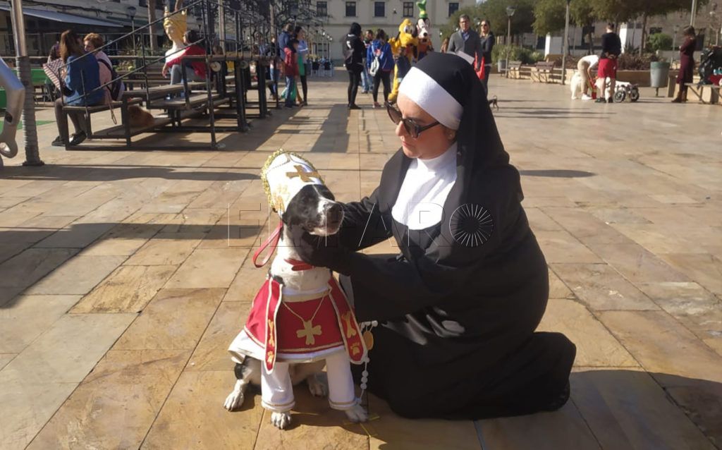 El obispo perruno gana en el Carnaval