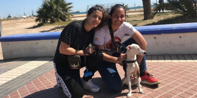 Fotogalería - II Caminata Canina: solidaridad perruna