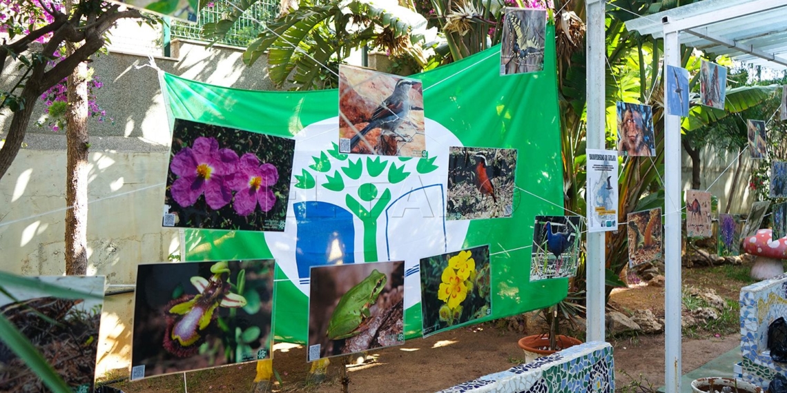 La Bandera Verde Ecoescuelas ondea en el patio para certificar el buen trabajo y la constancia