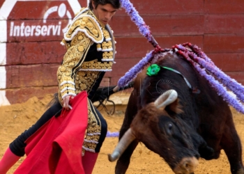 GRAF7964. CIUDAD REAL, 18/08/2019.- El diestro galo Sebastián Castella con el segundo de la tarde hoy domingo en el tercer festejo de la Feria de Ciudad Real. EFE/Mariano Cieza Moreno