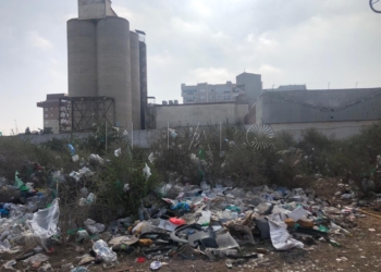 Ecologista denuncia la basura acumulada en las áreas verdes de Melilla