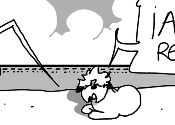 Viernes 20 de diciembre de 2019