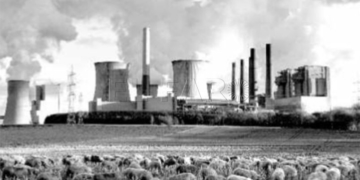 medio-ambiente