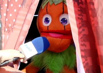 Pumpkin enseña a los más pequeños a no peder la ilusión