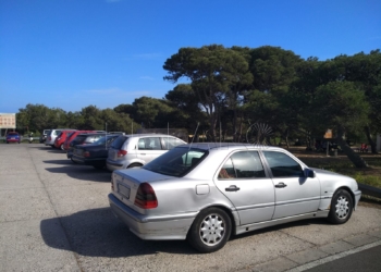 Coches aparcados en los pinares de Rostrogordo.