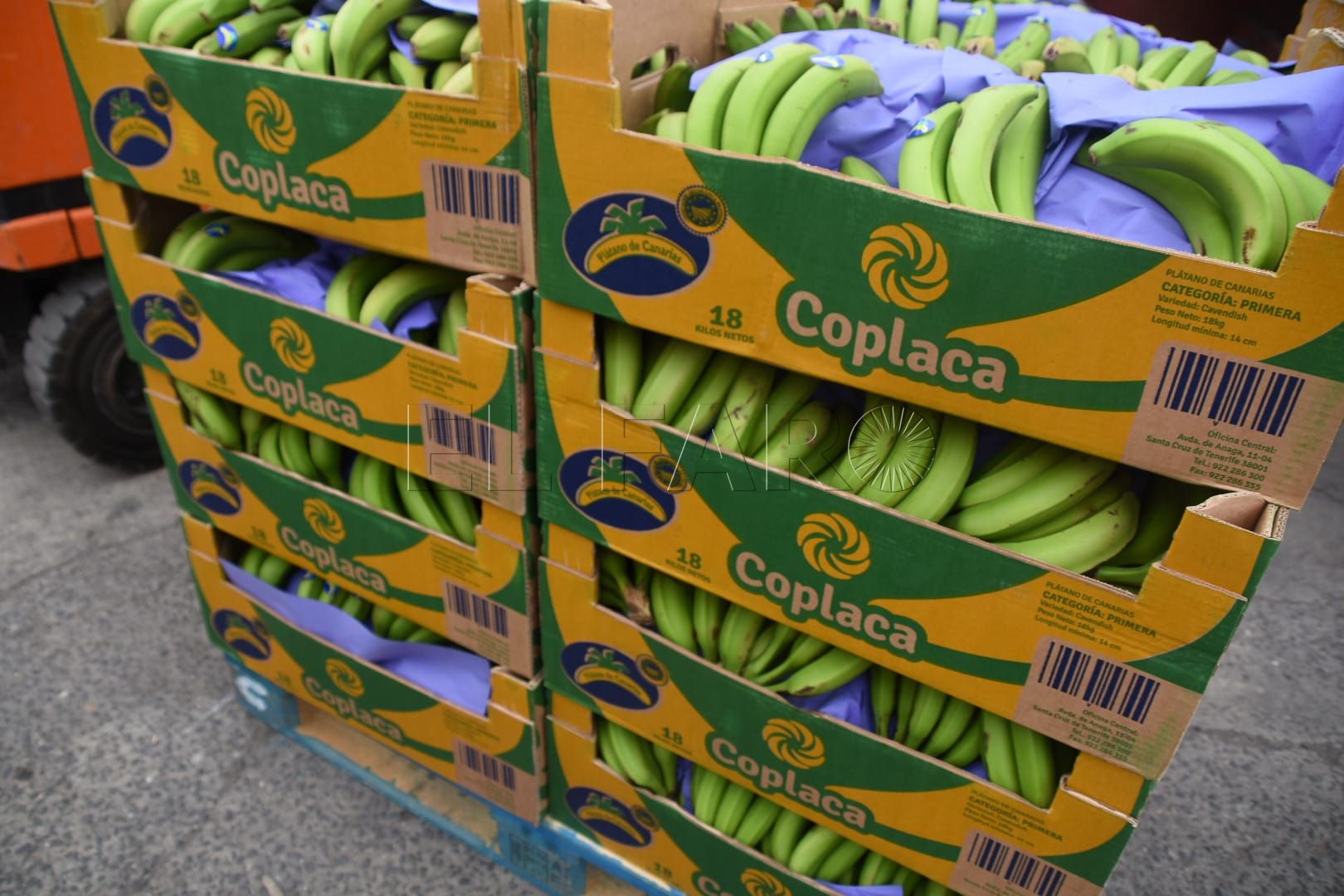 Productores de Canarias donan 20.000 kilos de plátanos para las familias más vulnerables