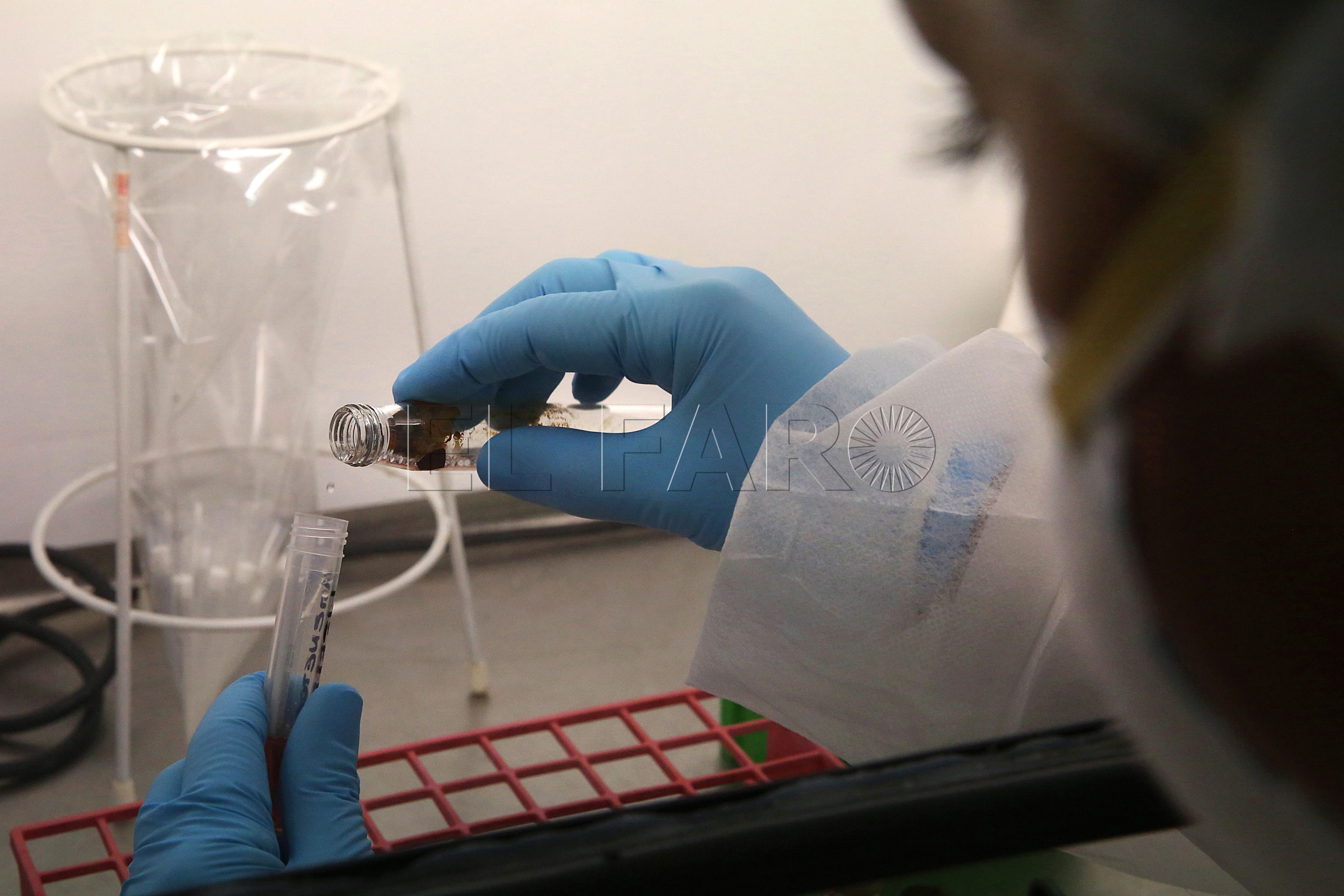 Melilla alcanza los 282 casos activos de COVID-19 tras sumar siete nuevos positivos