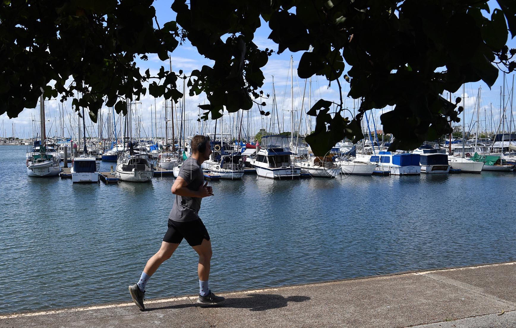 paseos-salidas-covid