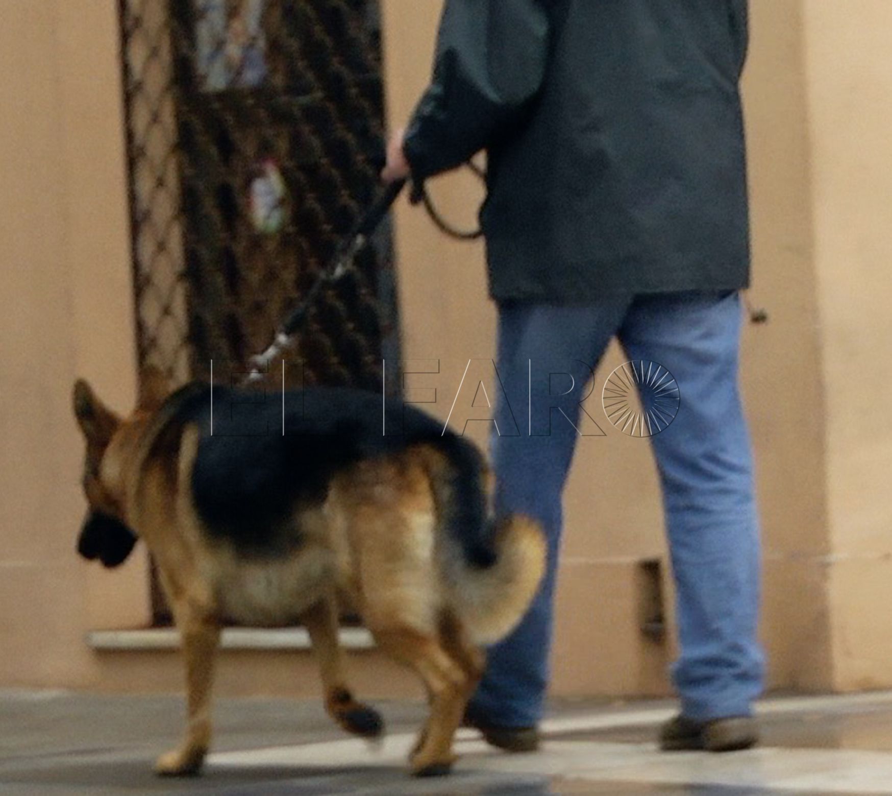 Diccionario para una pandemia (II)