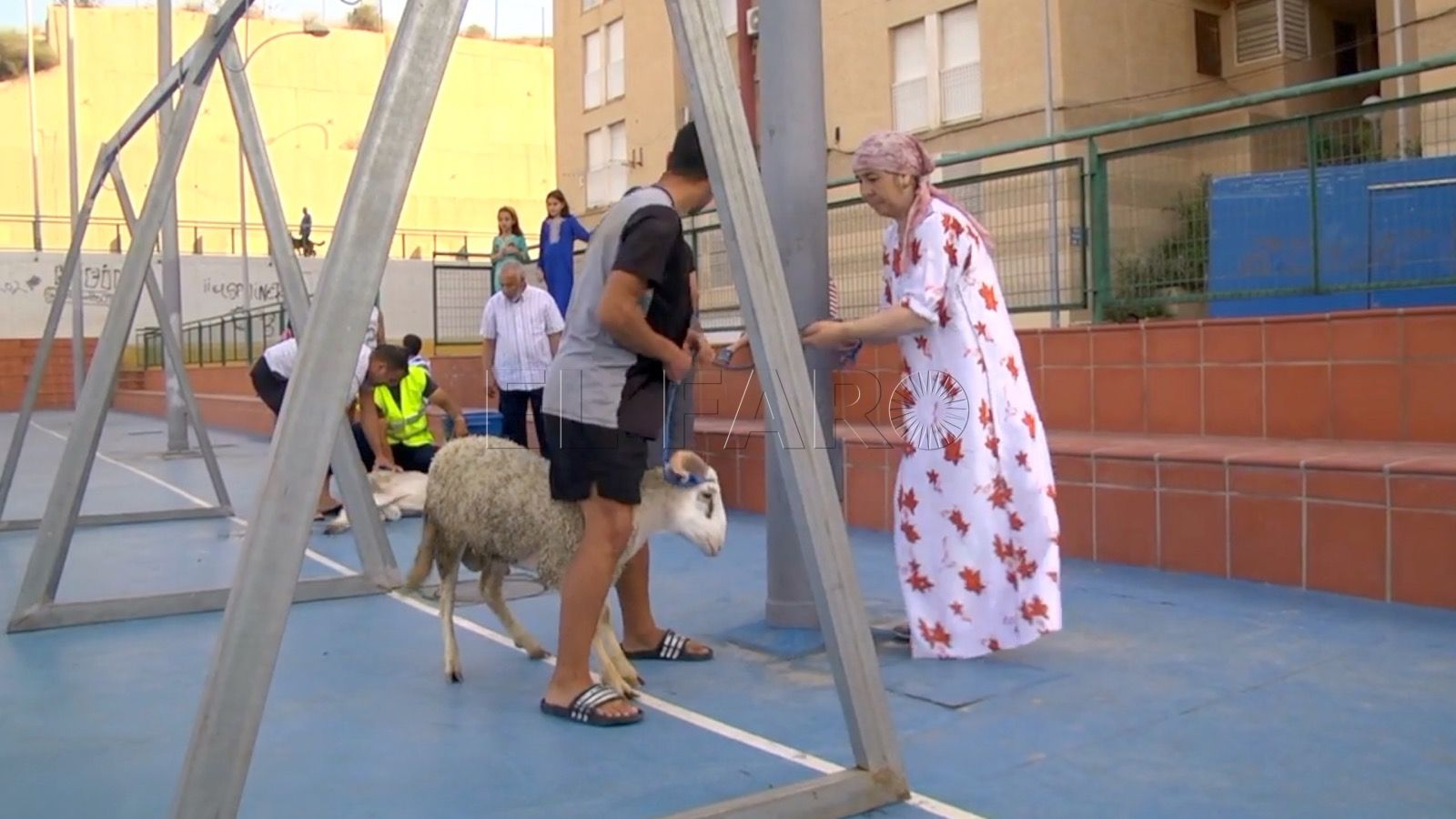Salud Pública busca adecuar el Aid El Kebir al informe veterinario que desaconseja su celebración