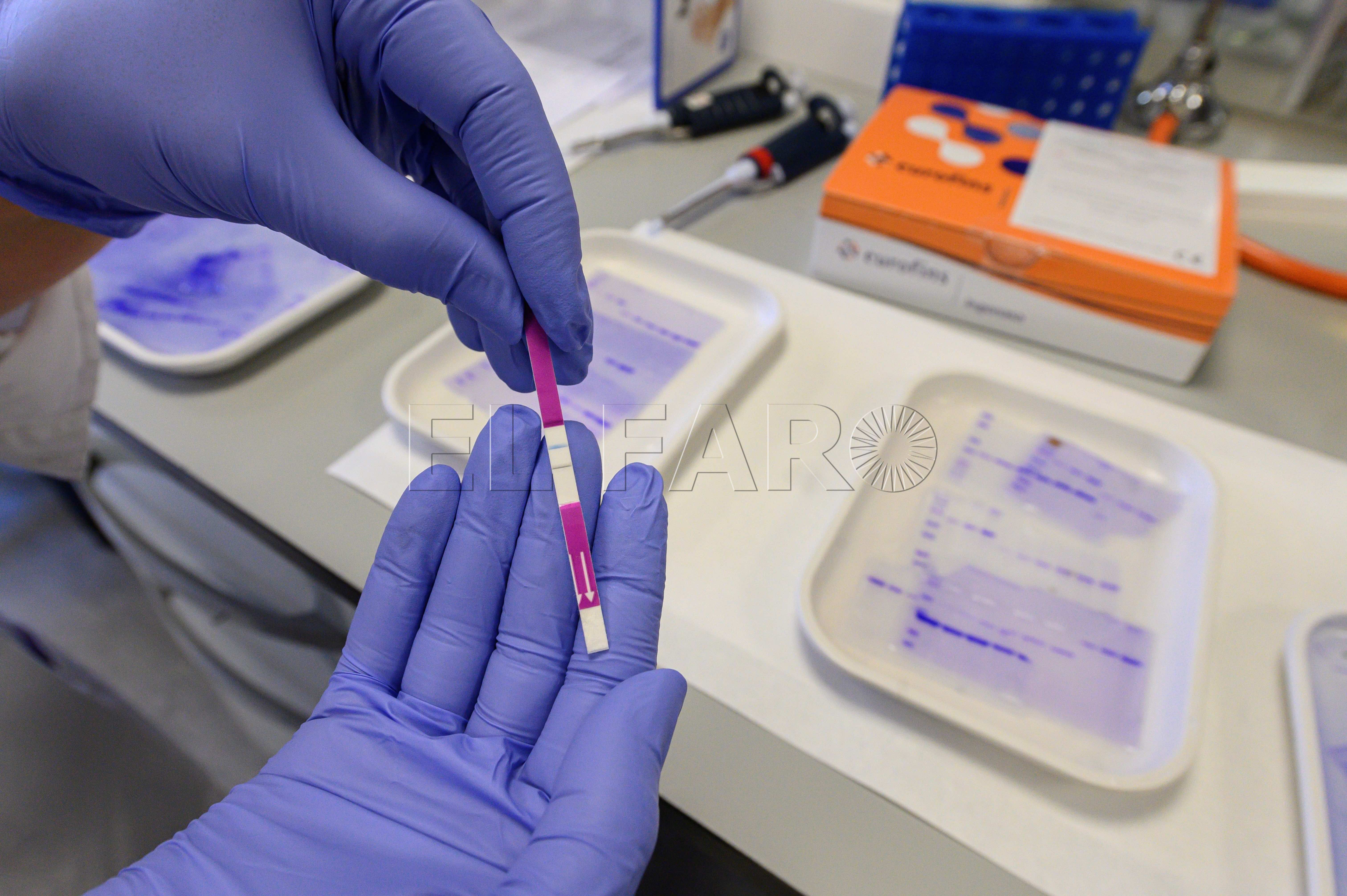 Melilla registra 102 curados y 24 nuevos contagios por coronavirus