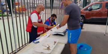 Imagen del pesaje de los deportistas que intervinieron en esta competición en nuestra ciudad.