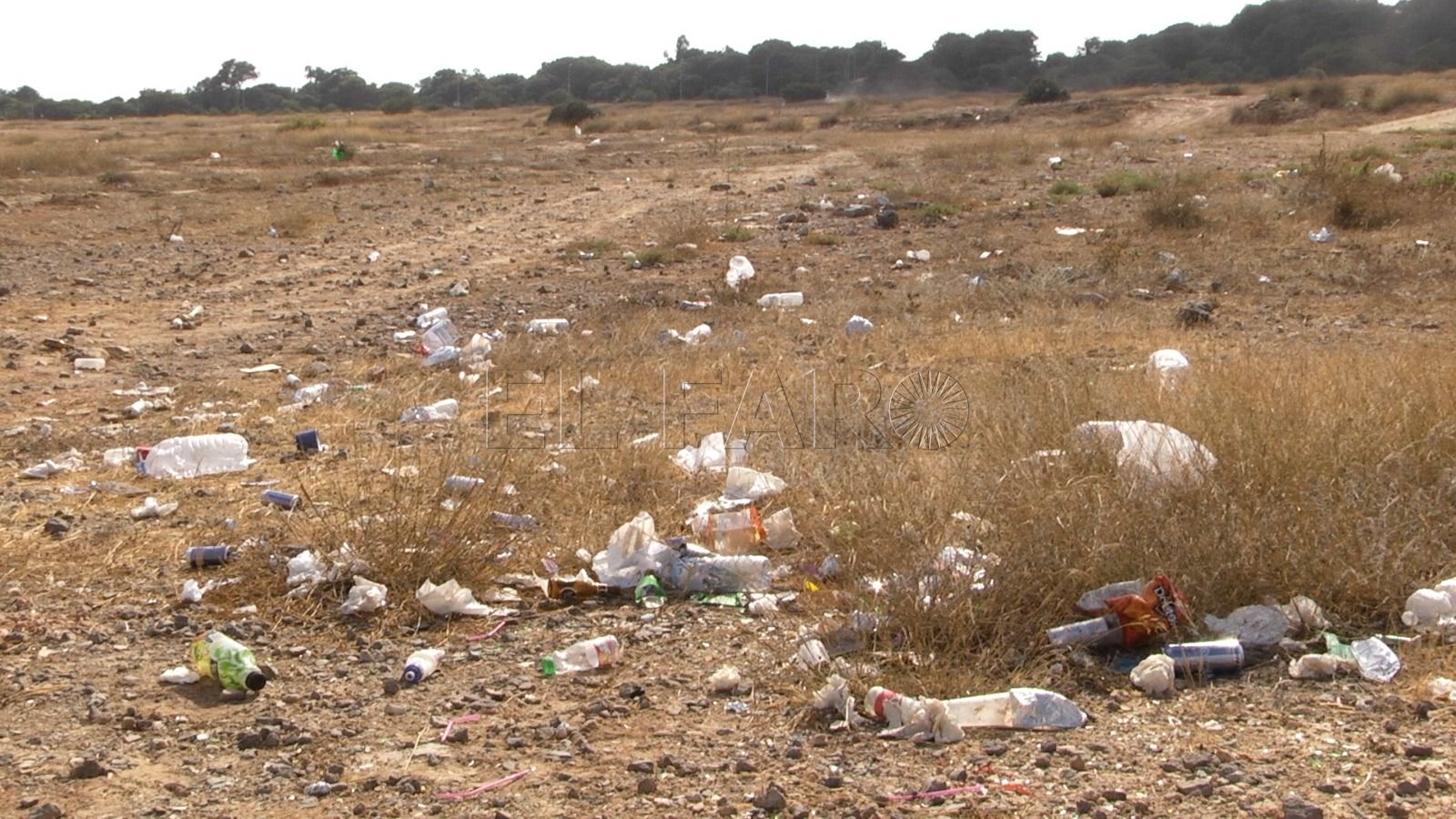 Actividades, charlas y limpieza en Rostrogordo, el plan propuesto por SEO BirdLife y Decathlon para el domingo