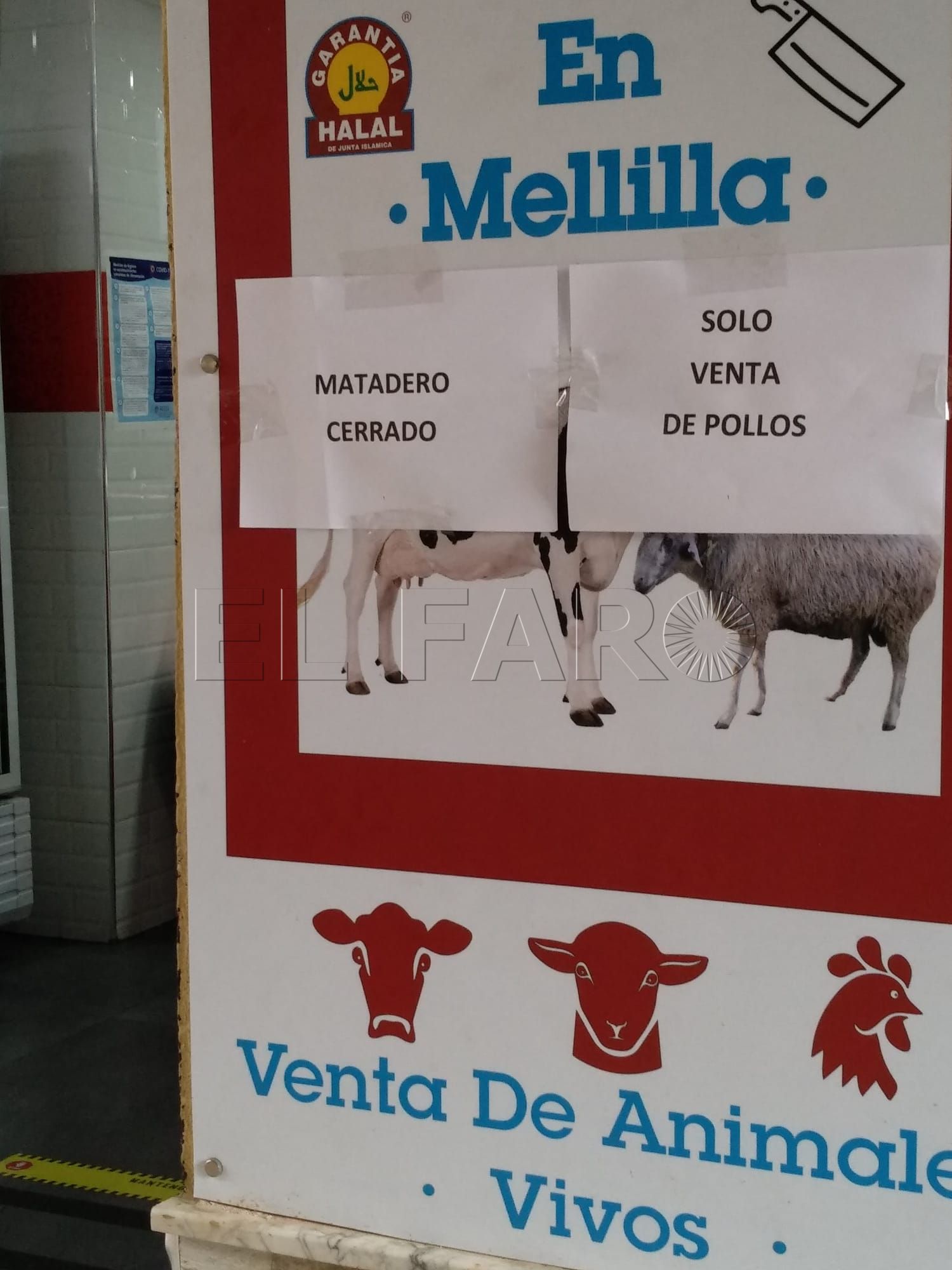 El PP denuncia que no hay carne halal debido el cierre del matadero municipal por falta de personal