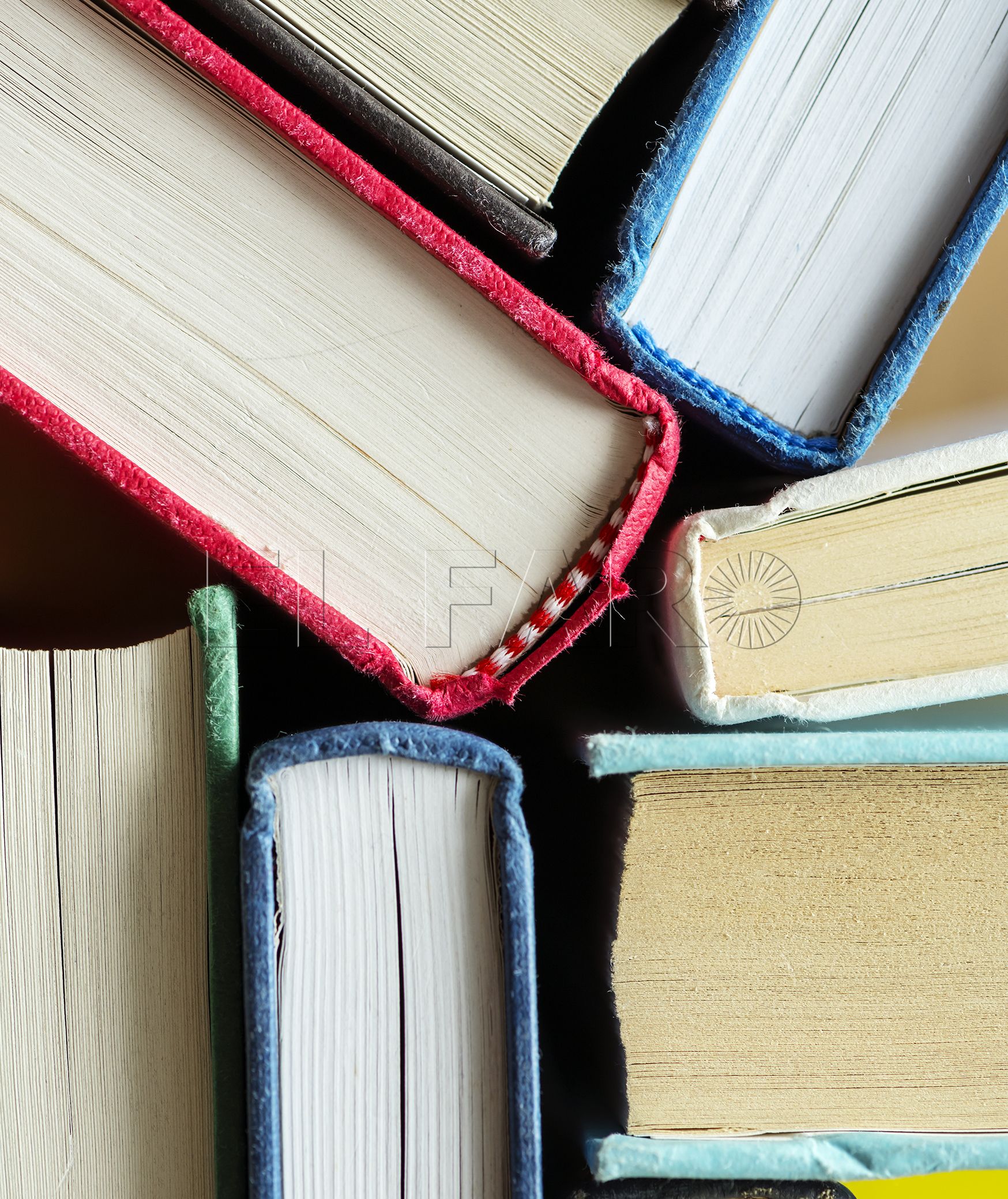 Diccionario para una pandemia (Tomo II)