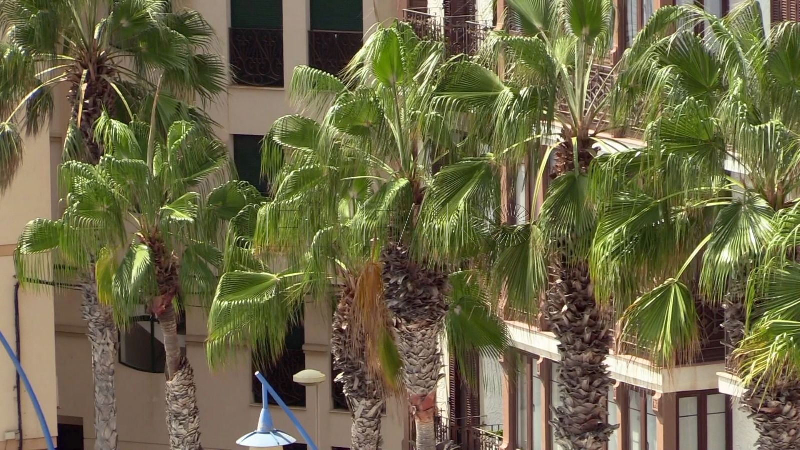 Cielos despejados y poco nubosos para este domingo en Melilla
