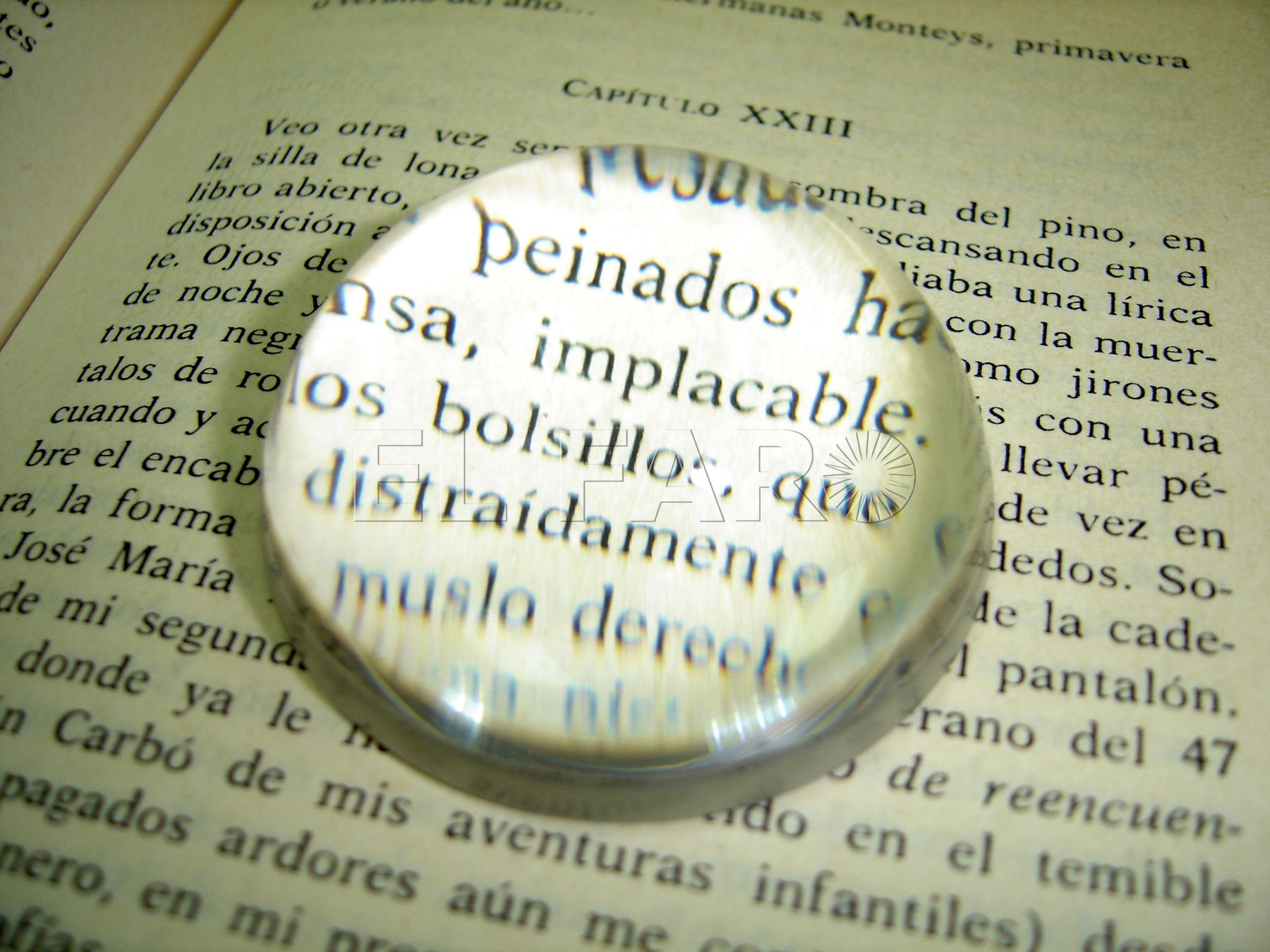 Diccionario para una pandemia Tomo II-4