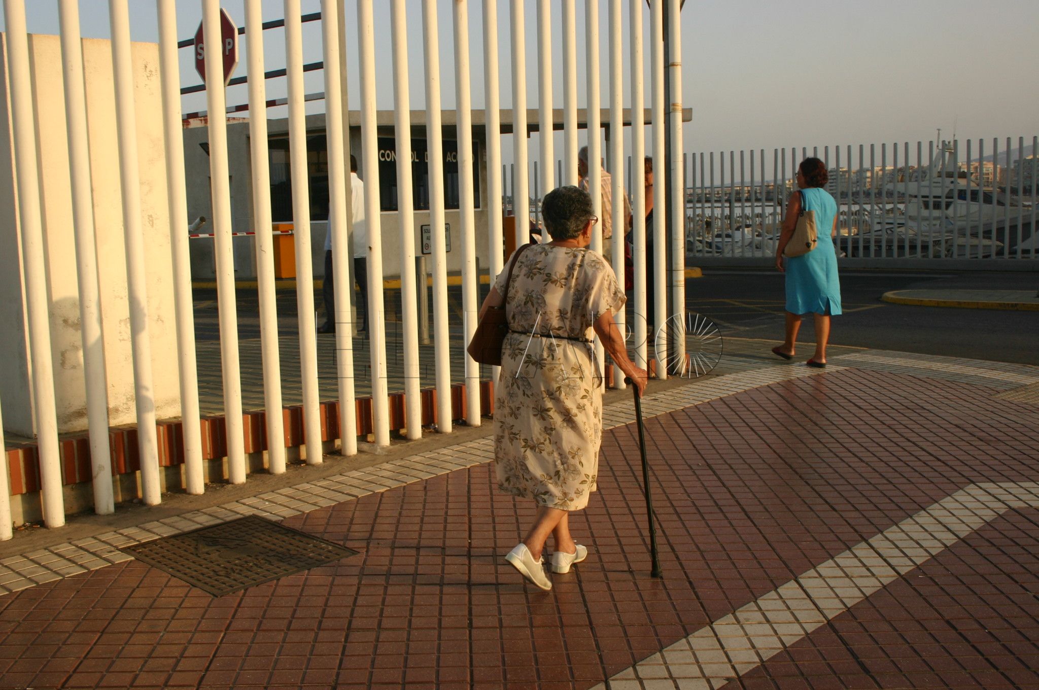 Fallecidos 36 dependientes en listas de espera de enero a octubre