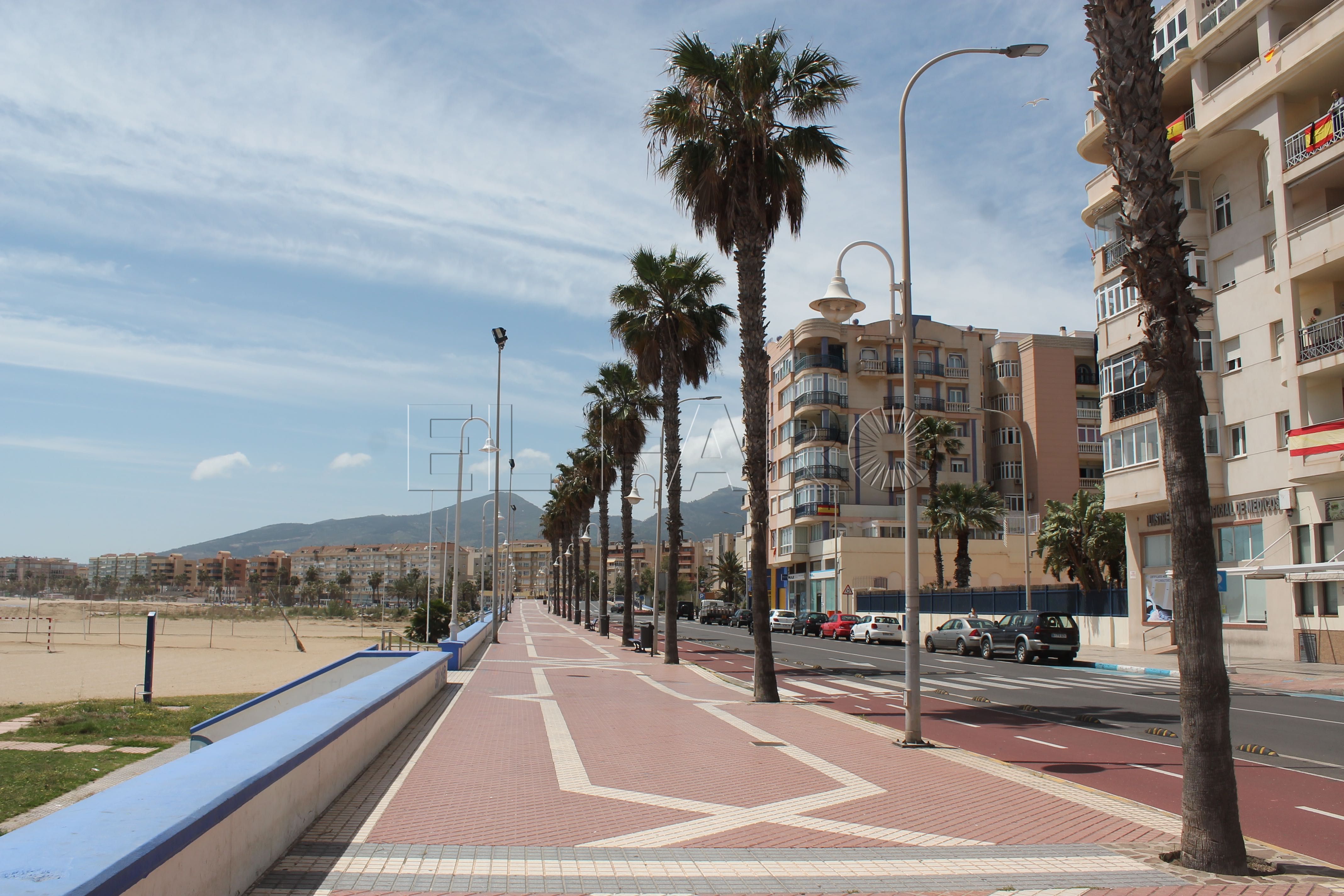 Sindicatos y asociaciones de las FCSE y de la Policía Local reclaman más efectivos