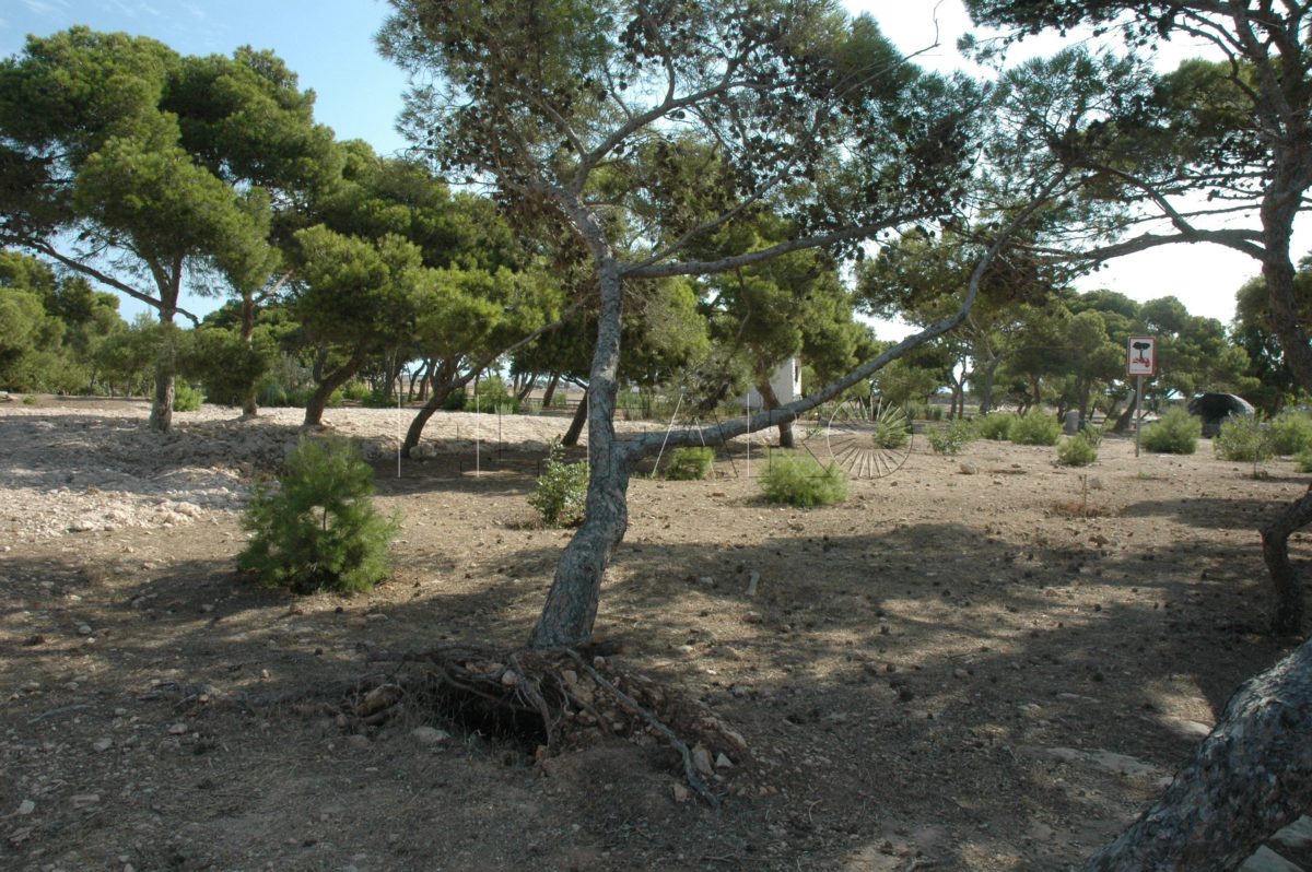 La Junta Islámica de Melilla organiza una caminata juvenil en los pinos