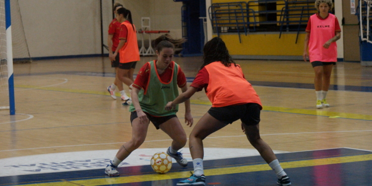 El Torreblanca, a pleno rendimiento