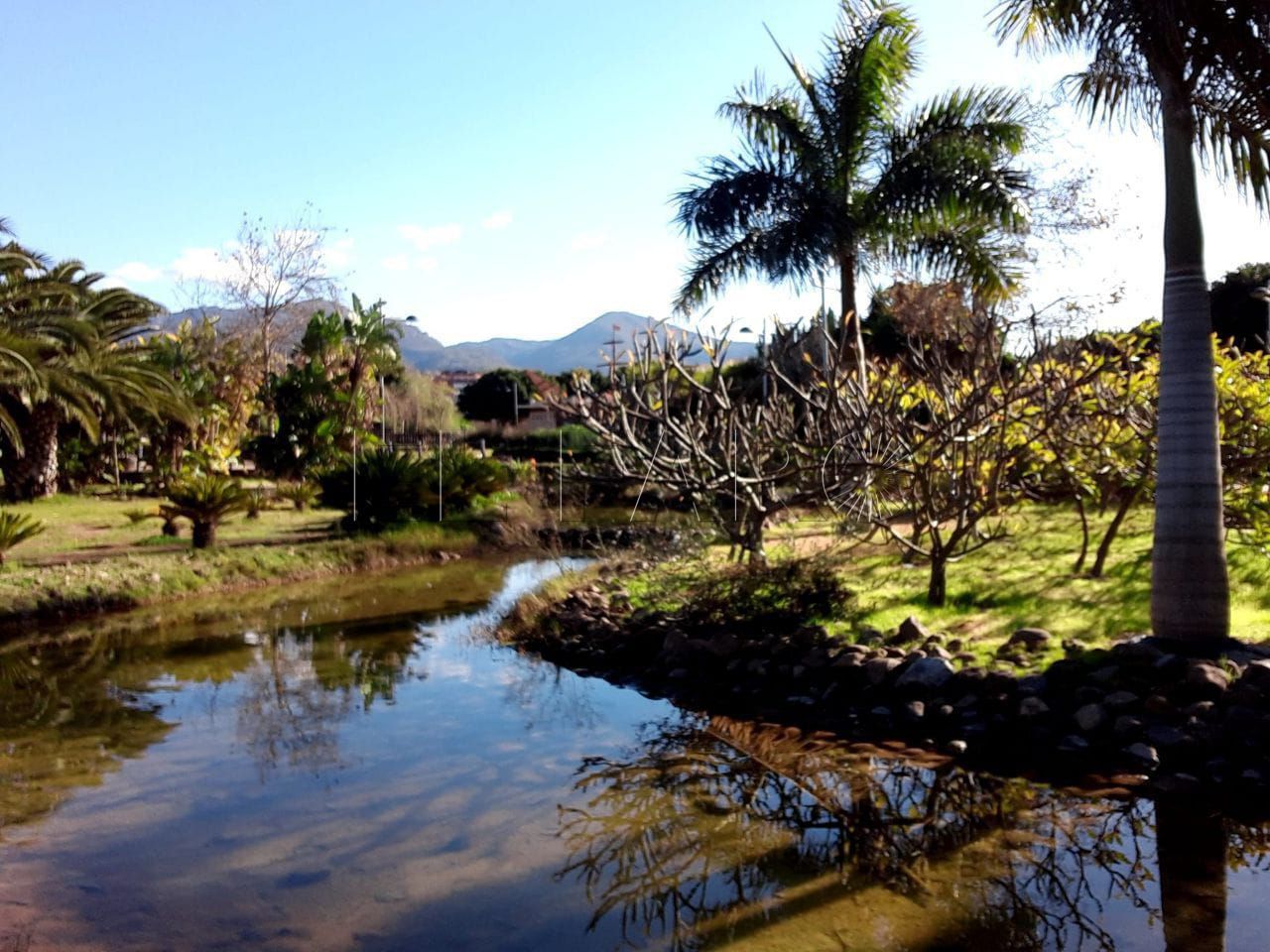 Podemos pide "una señalización clara" para las normas de los parques en la situación de la COVID-19