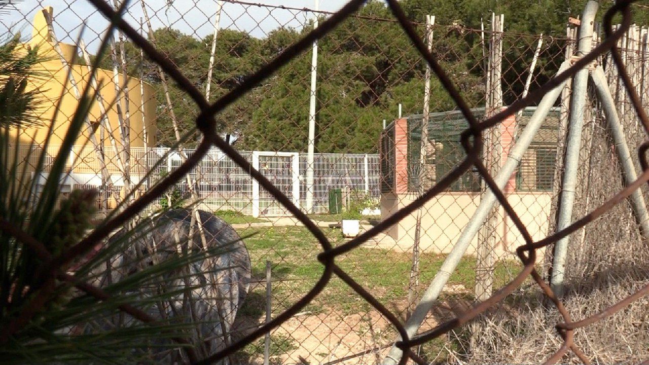 Medio Ambiente condena el ataque y el robo de aves que sufrió El Quinto