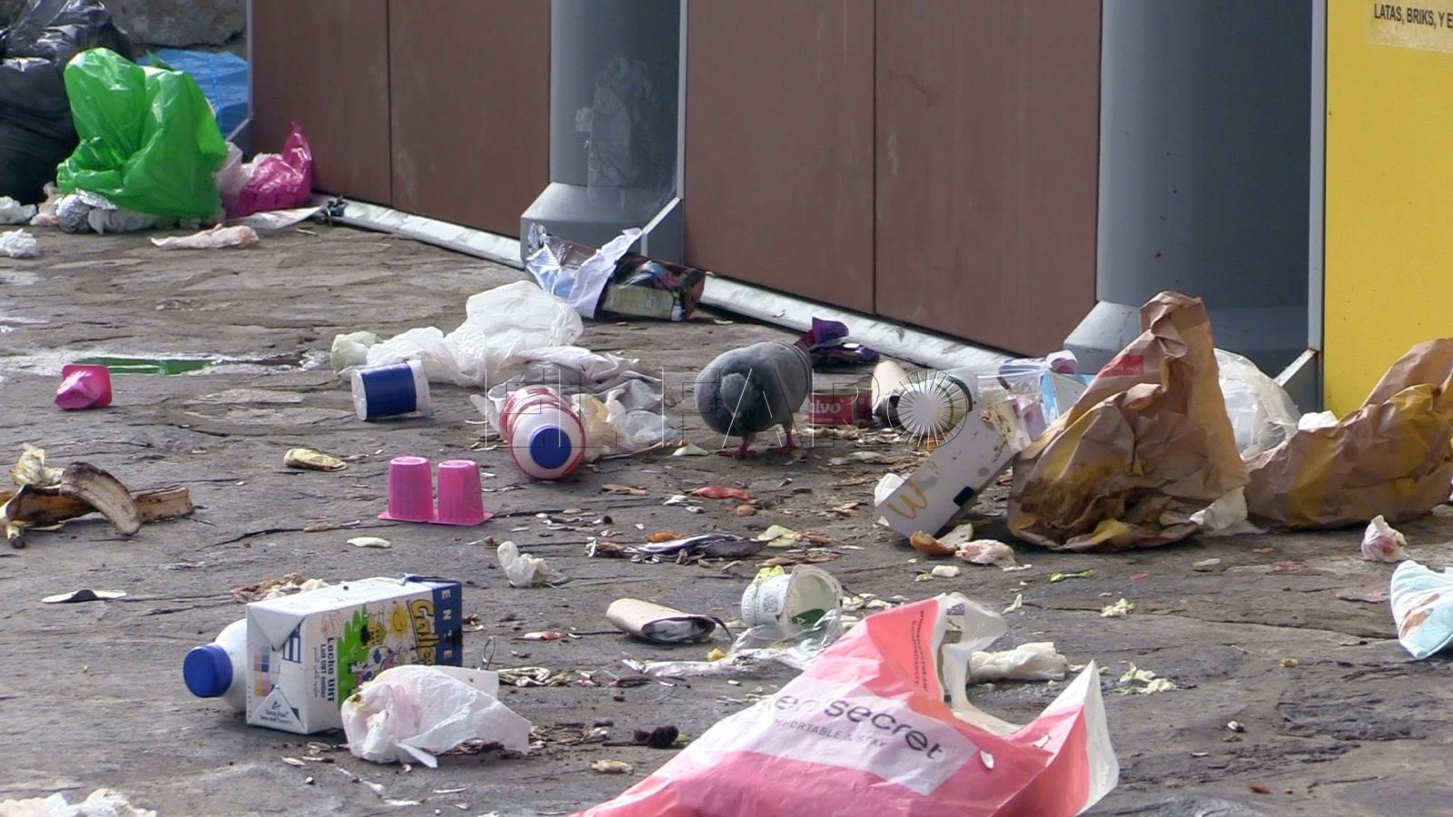 Medio Ambiente tendrá un servicio de inspectores para fiscalizar las labores de las empresas que trabajan con esta Consejería
