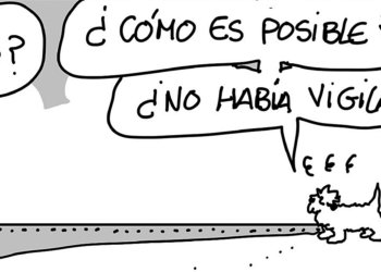 Sábado 13 de febrero de 2021