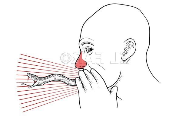 La jungla de los insultos